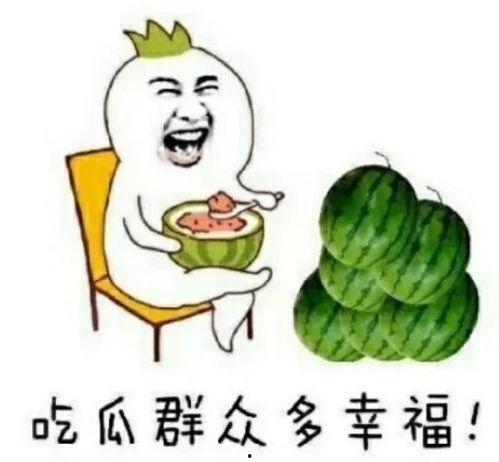 娱乐瓜都是在哪里吃的啊,明星们的“娱乐瓜”聚集地大揭秘