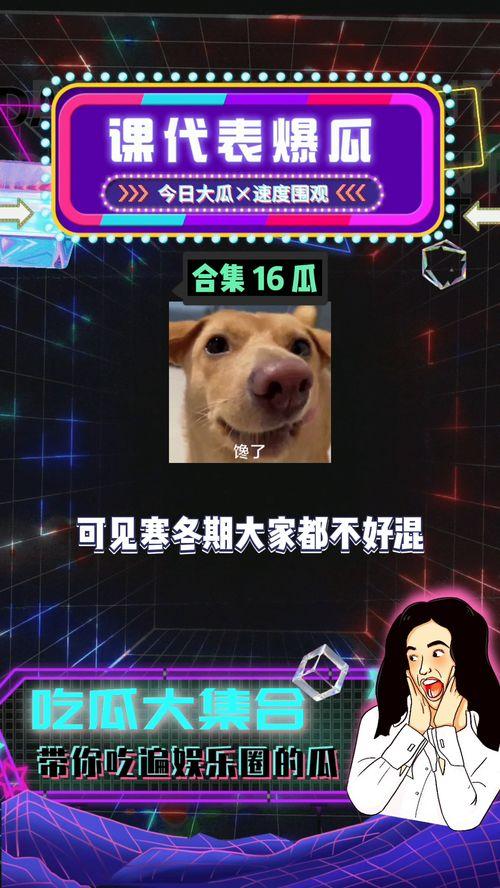 娱乐八卦吃瓜图片搞笑,吃瓜群众欢乐多，搞笑瞬间盘点