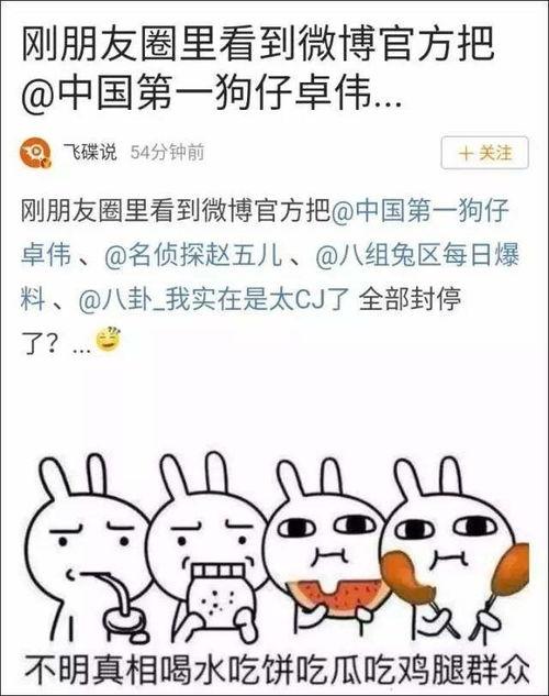 娱乐吃瓜君吃自己的瓜,揭秘娱乐圈惊人内幕